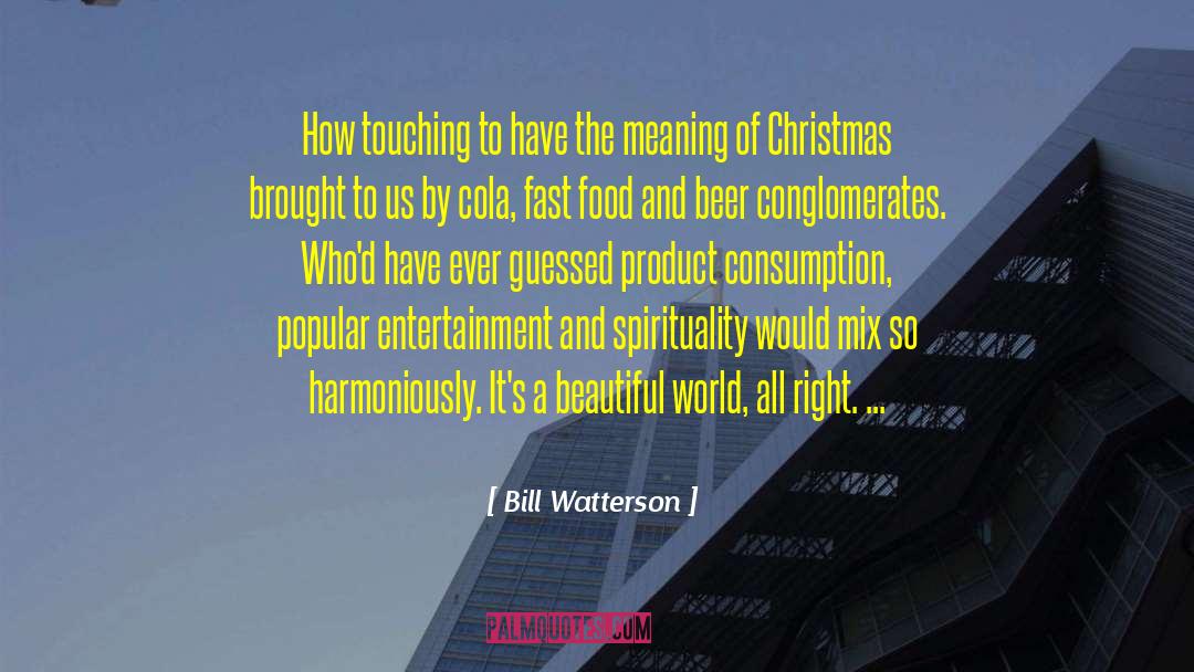 Meaning Of Christmas quotes by Bill Watterson
