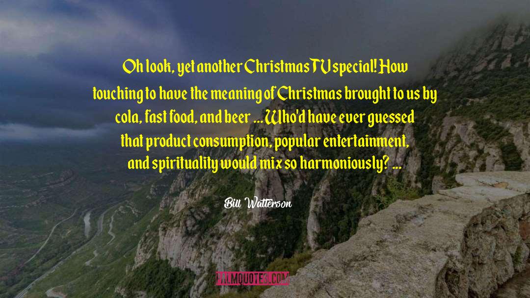 Meaning Of Christmas quotes by Bill Watterson