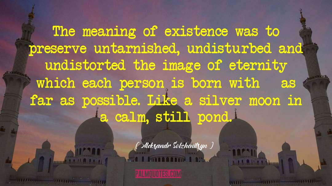 Meaning Of Existence quotes by Aleksandr Solzhenitsyn