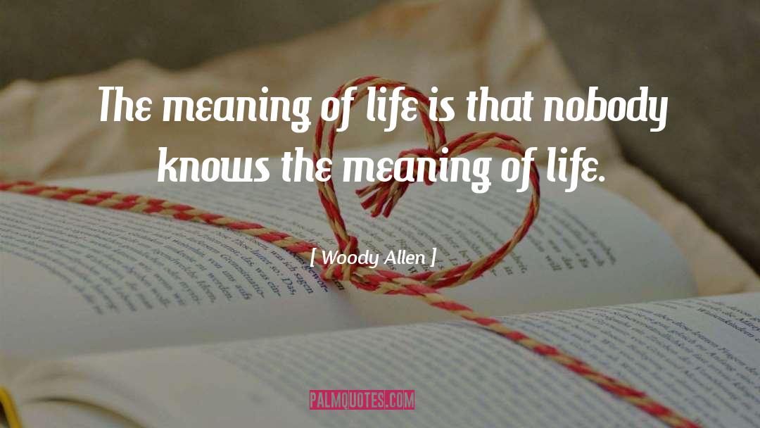 Meaning Of Life quotes by Woody Allen