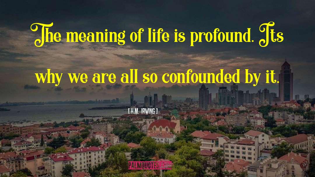 Meaning Of Life quotes by H.M.  Irwing