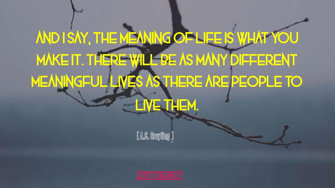 Meaning Of Life quotes by A.C. Grayling