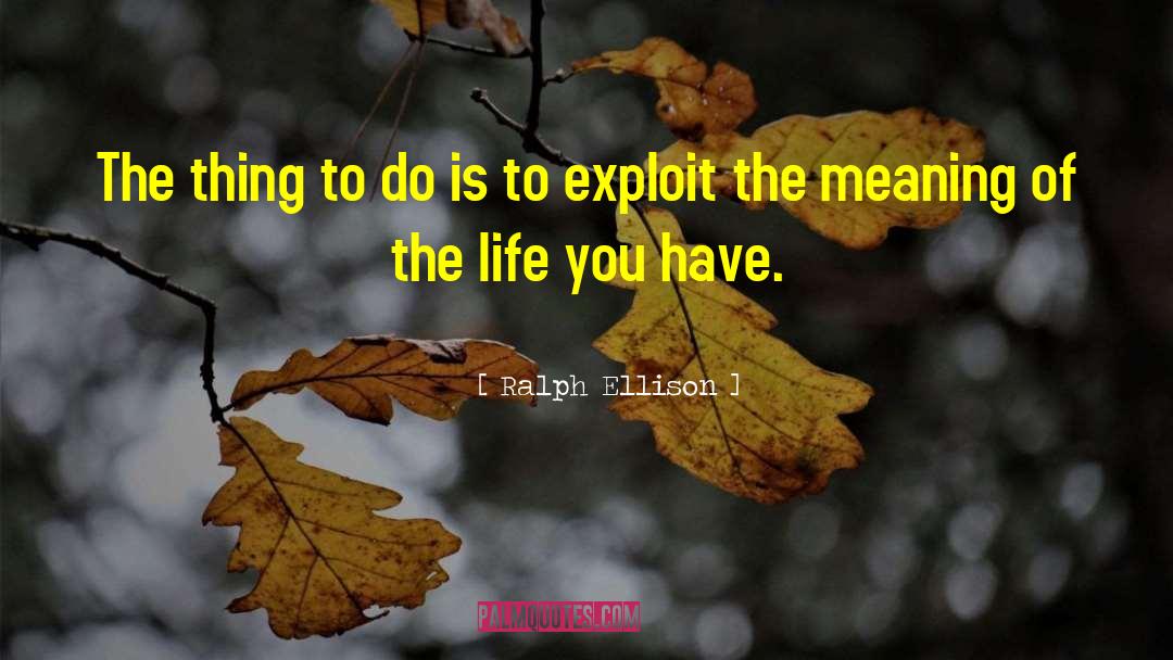 Meaning Of The Life quotes by Ralph Ellison