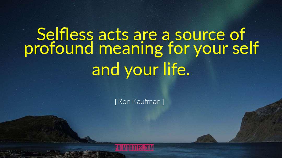 Meaning Purpose quotes by Ron Kaufman
