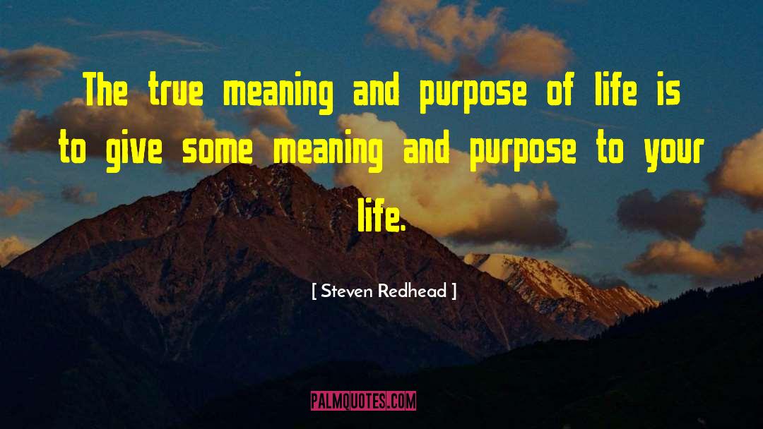Meaning Purpose quotes by Steven Redhead