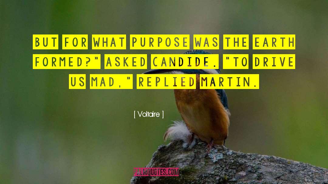 Meaning Purpose quotes by Voltaire