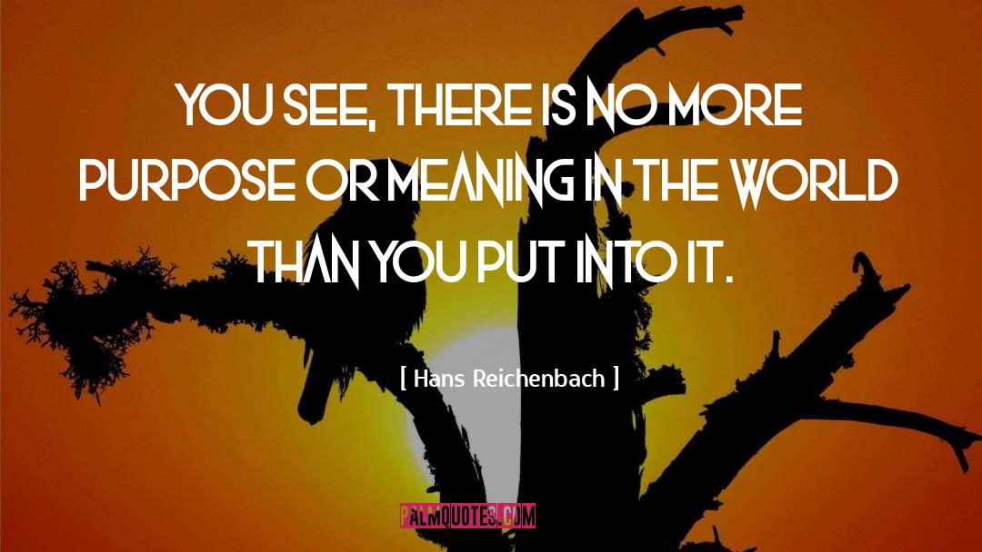 Meaning quotes by Hans Reichenbach