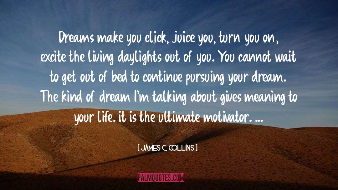 Meaning quotes by James C. Collins