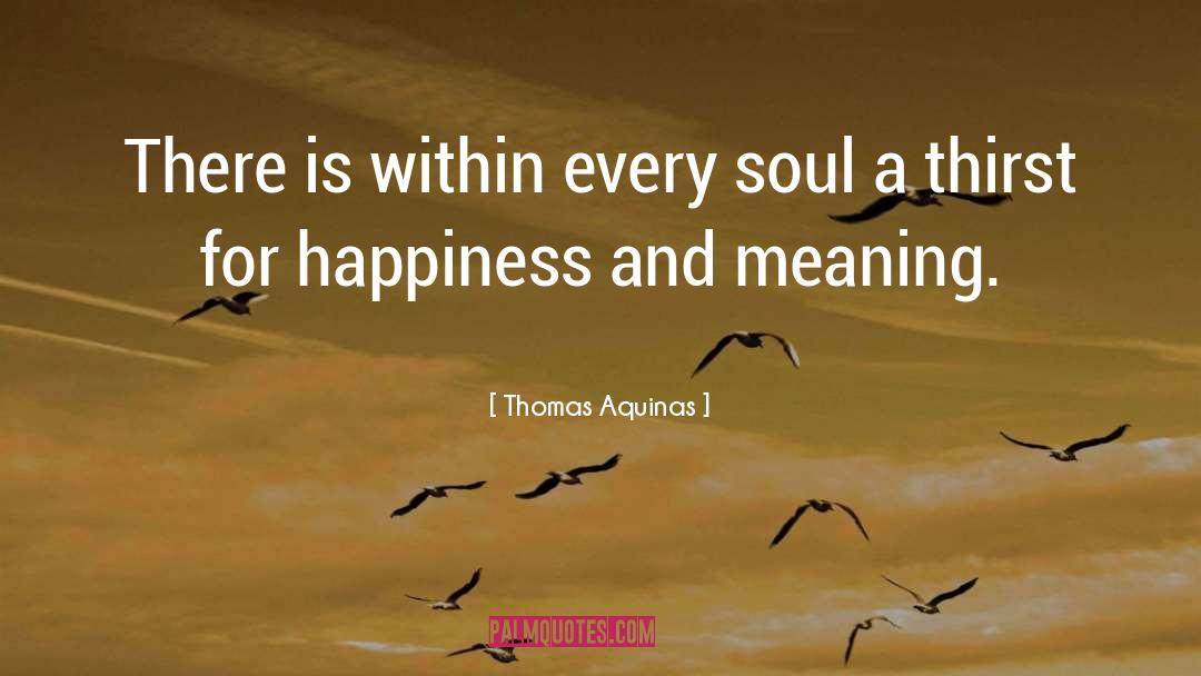 Meaning quotes by Thomas Aquinas