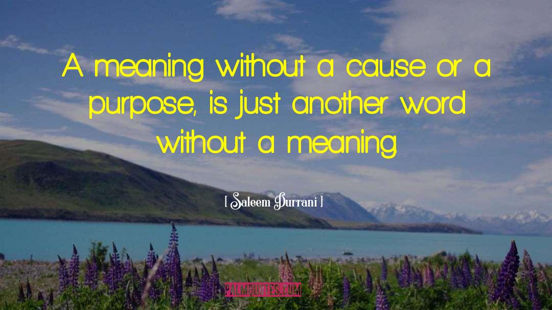 Meaning Response quotes by Saleem Durrani
