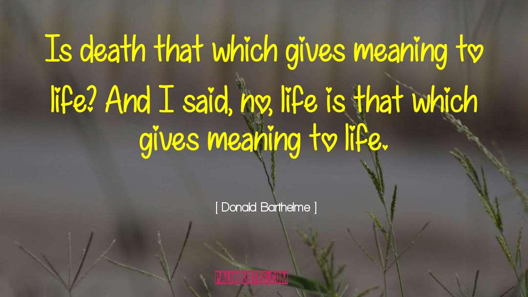 Meaning To Life quotes by Donald Barthelme