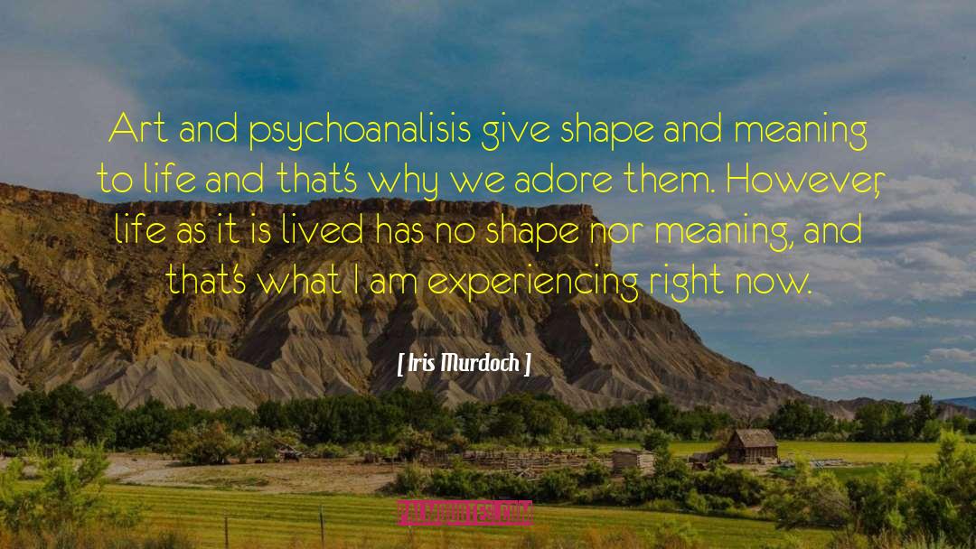 Meaning To Life quotes by Iris Murdoch