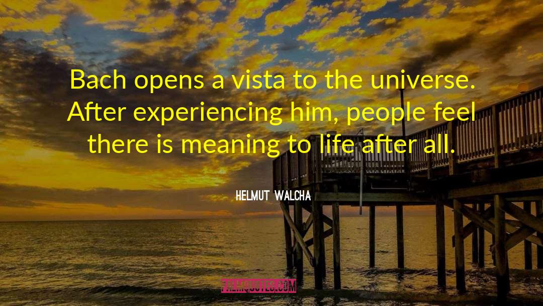 Meaning To Life quotes by Helmut Walcha
