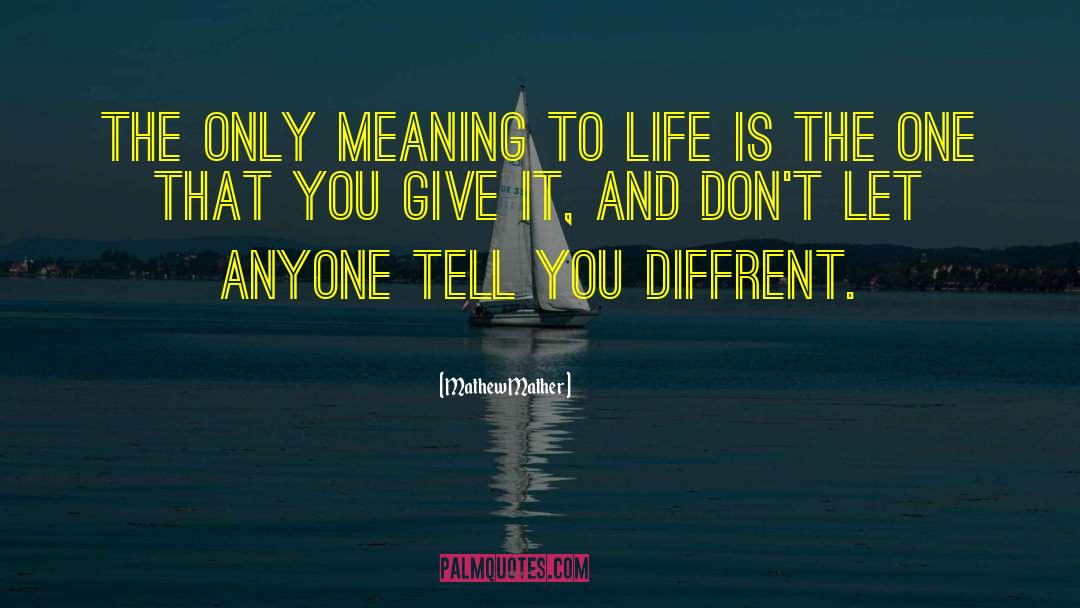 Meaning To Life quotes by Mathew Mather