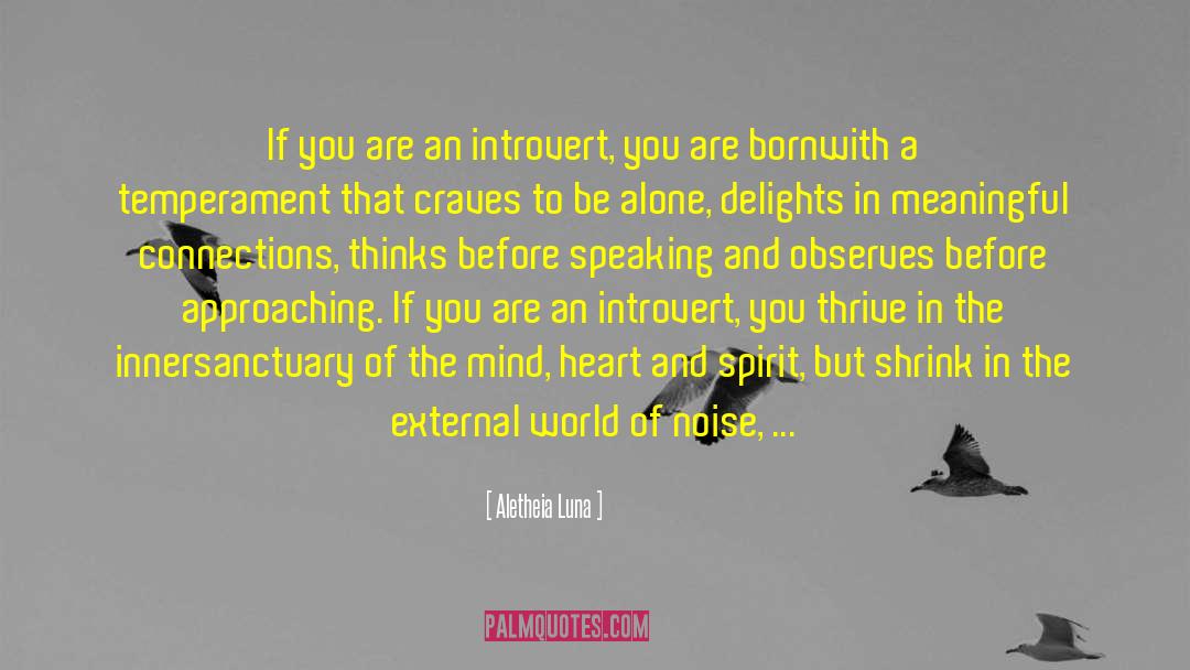 Meaningful Connections quotes by Aletheia Luna