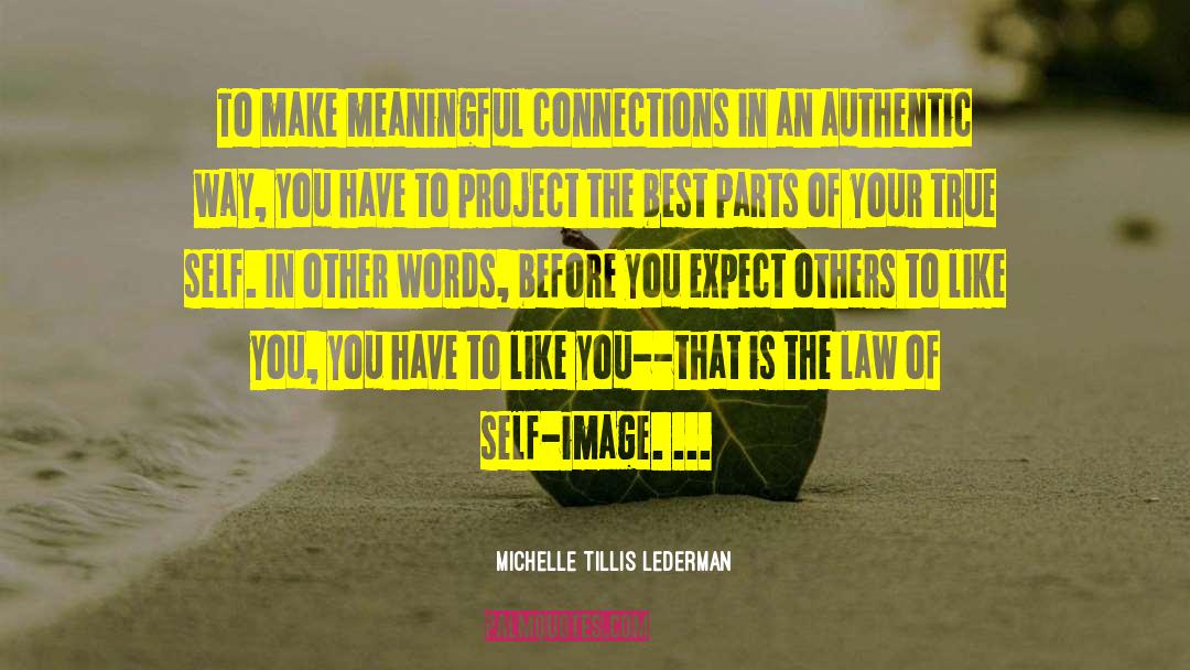 Meaningful Connections quotes by Michelle Tillis Lederman