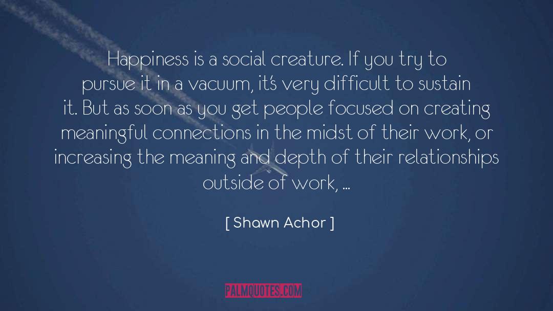 Meaningful Connections quotes by Shawn Achor