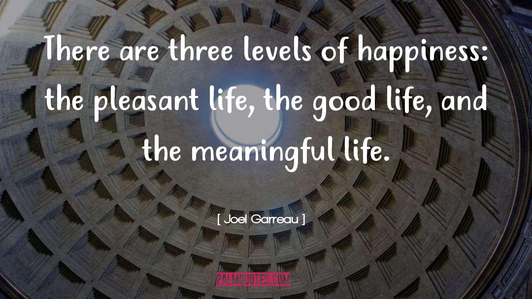 Meaningful Life quotes by Joel Garreau