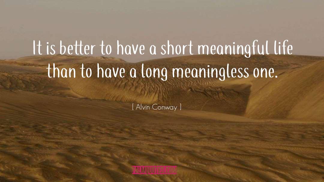 Meaningful Life quotes by Alvin Conway