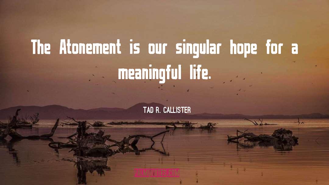 Meaningful Life quotes by Tad R. Callister