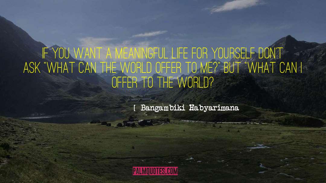 Meaningful Living quotes by Bangambiki Habyarimana