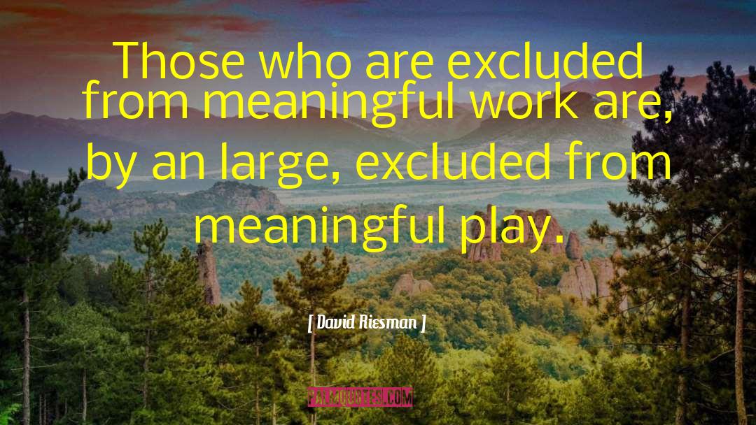 Meaningful Work quotes by David Riesman