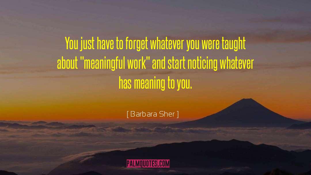 Meaningful Work quotes by Barbara Sher