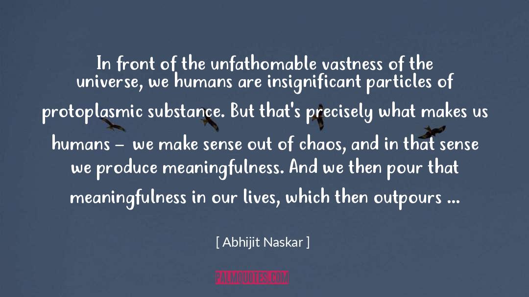 Meaningfulness quotes by Abhijit Naskar