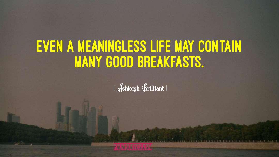 Meaningless Life quotes by Ashleigh Brilliant