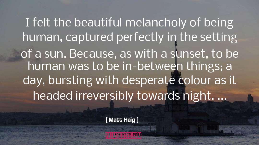 Meaningless Things quotes by Matt Haig