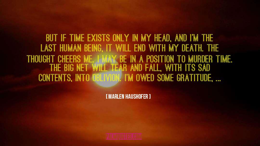 Meaningless Things quotes by Marlen Haushofer