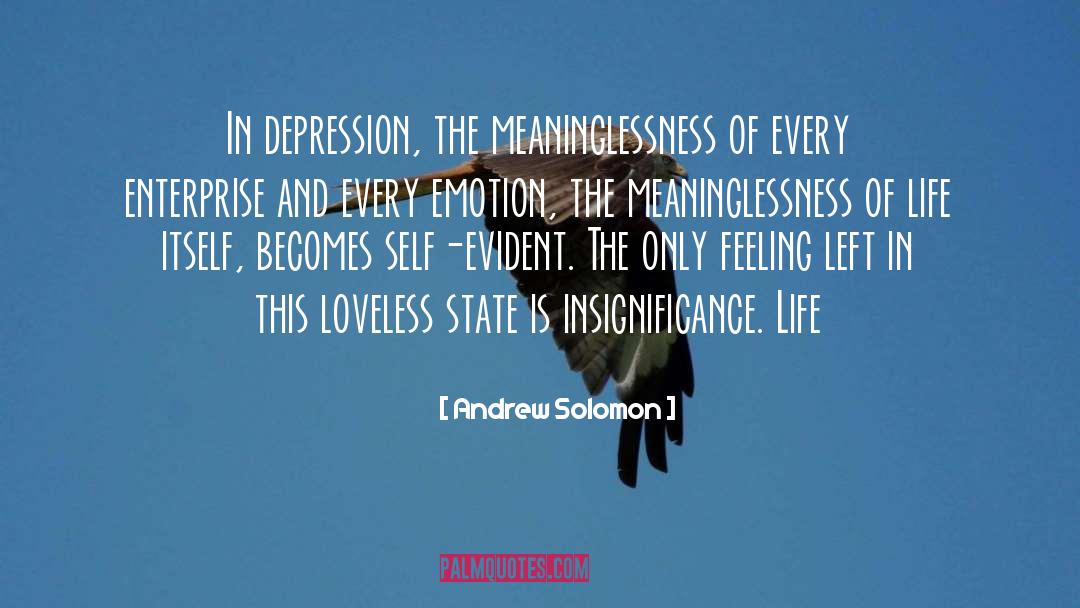 Meaninglessness Of Life quotes by Andrew Solomon