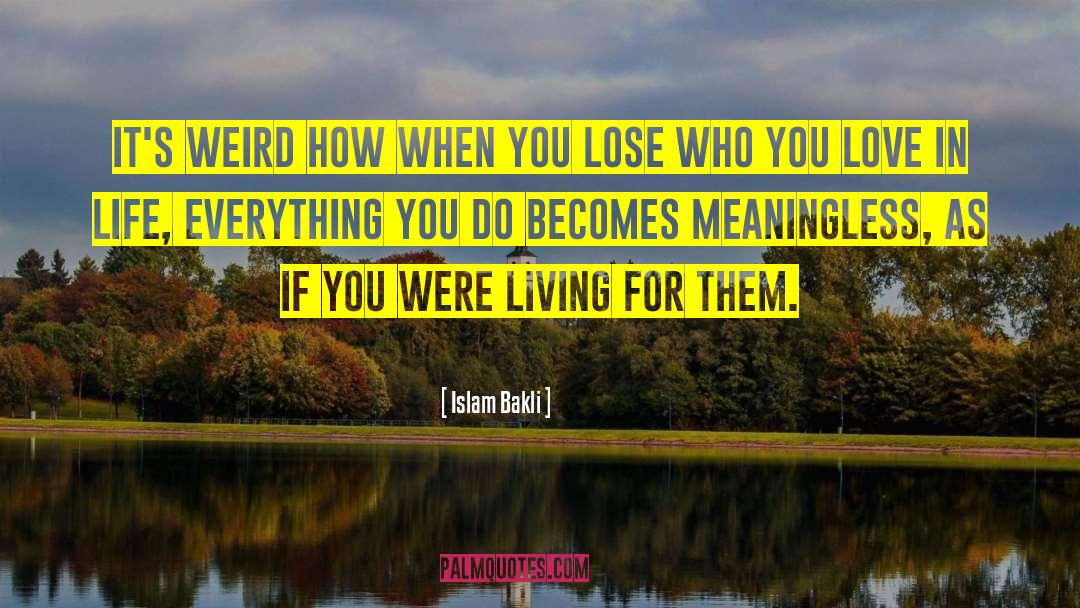 Meaninglessness Of Life quotes by Islam Bakli