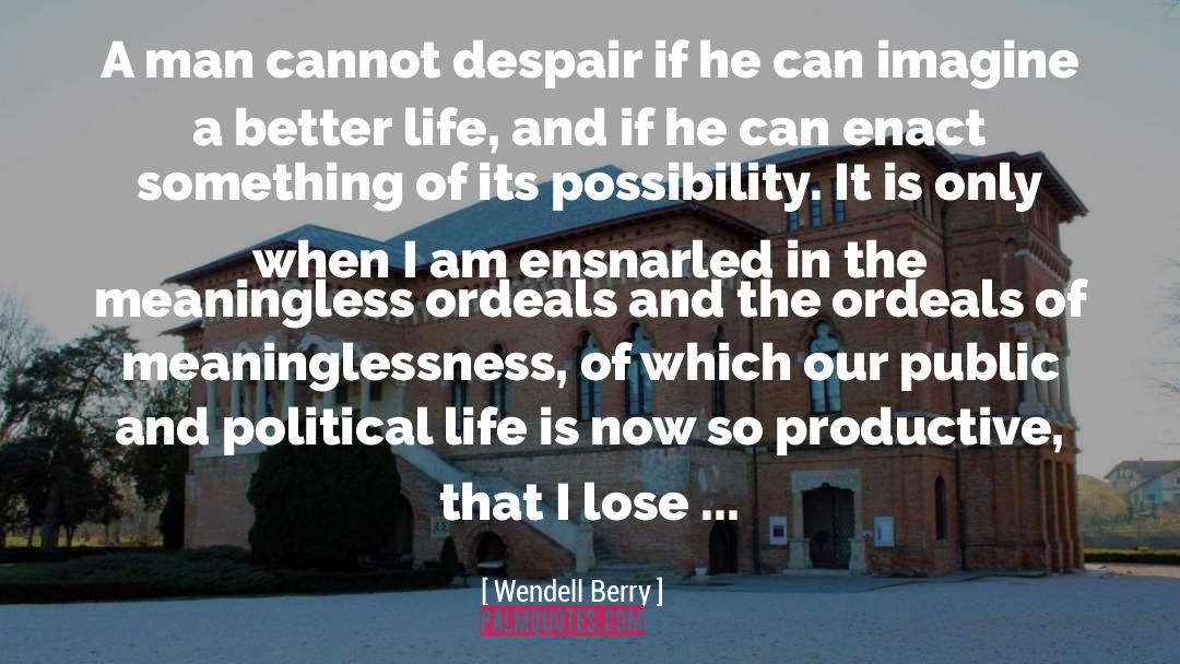 Meaninglessness quotes by Wendell Berry