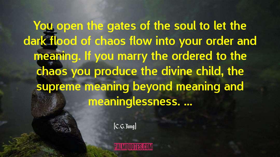 Meaninglessness quotes by C. G. Jung