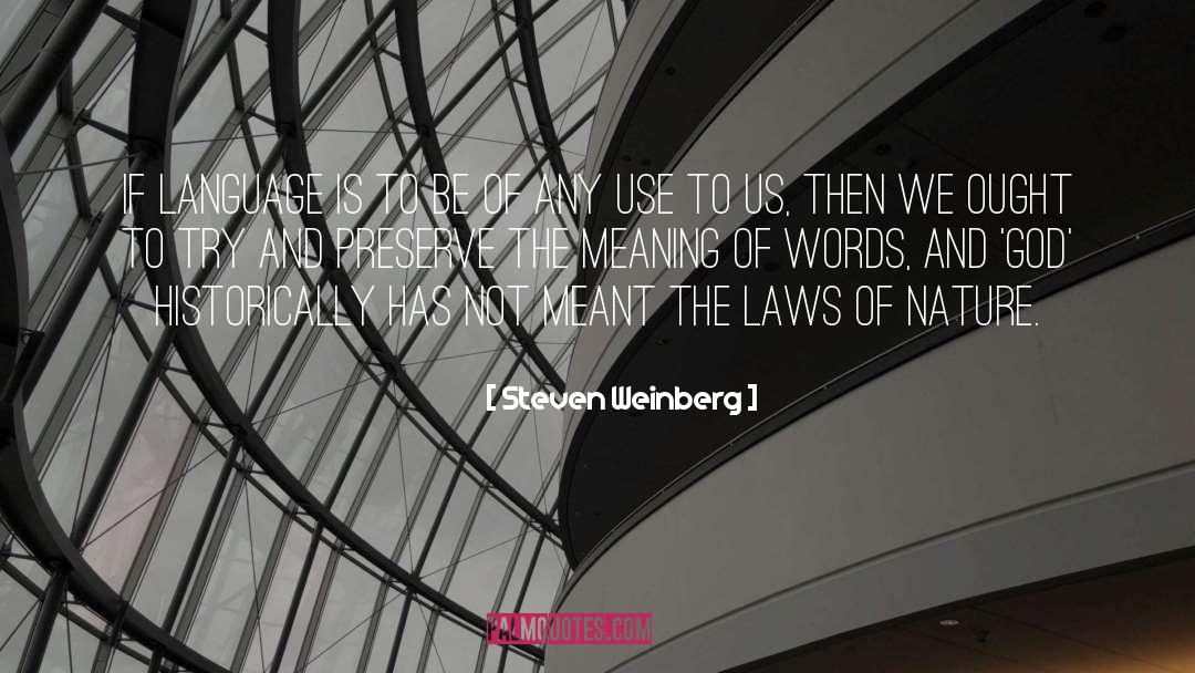 Meanings Of Words quotes by Steven Weinberg