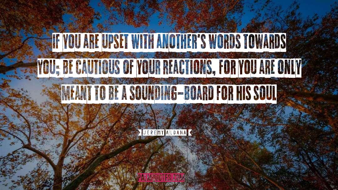 Meanings Of Words quotes by Jeremy Aldana
