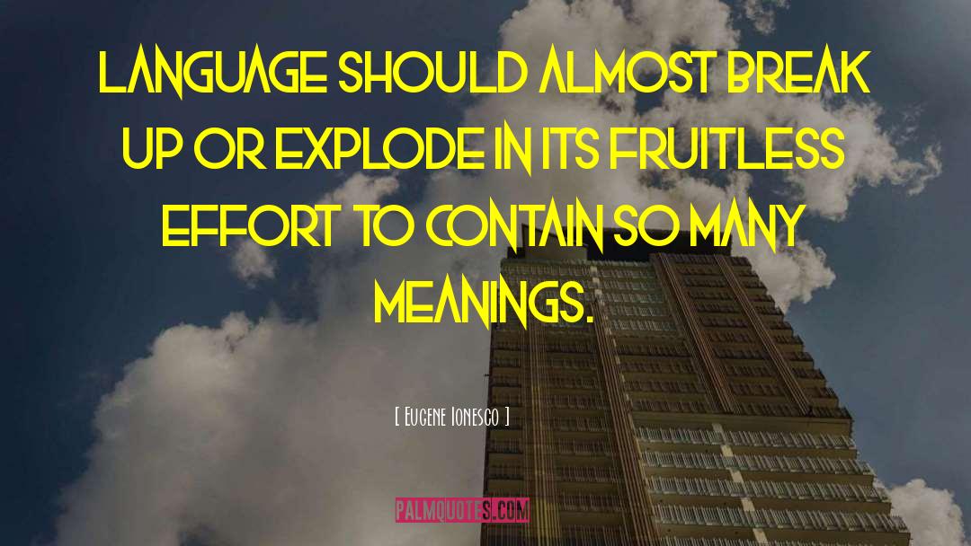 Meanings quotes by Eugene Ionesco