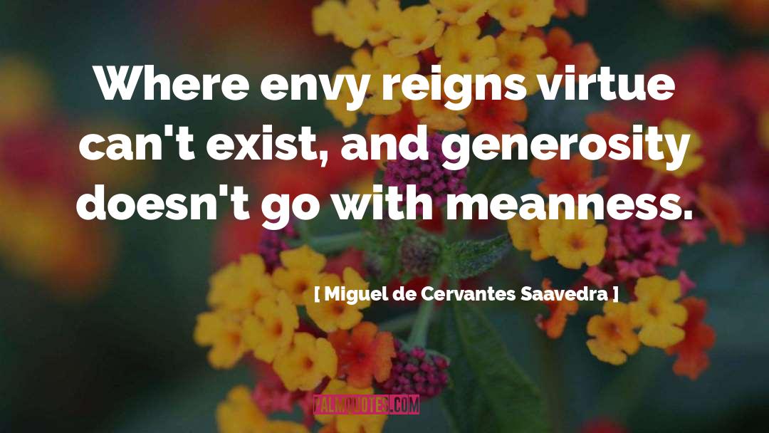 Meanness quotes by Miguel De Cervantes Saavedra