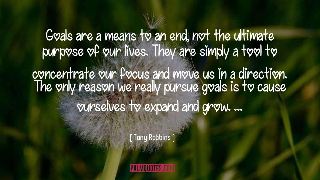 Means To An End quotes by Tony Robbins