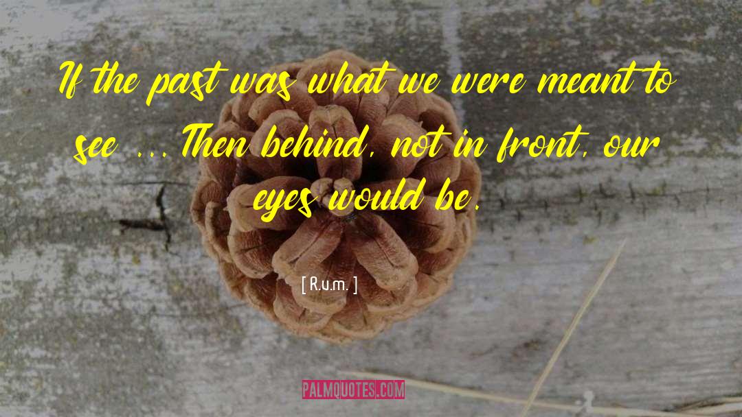 Meant To Be Together quotes by R.v.m.