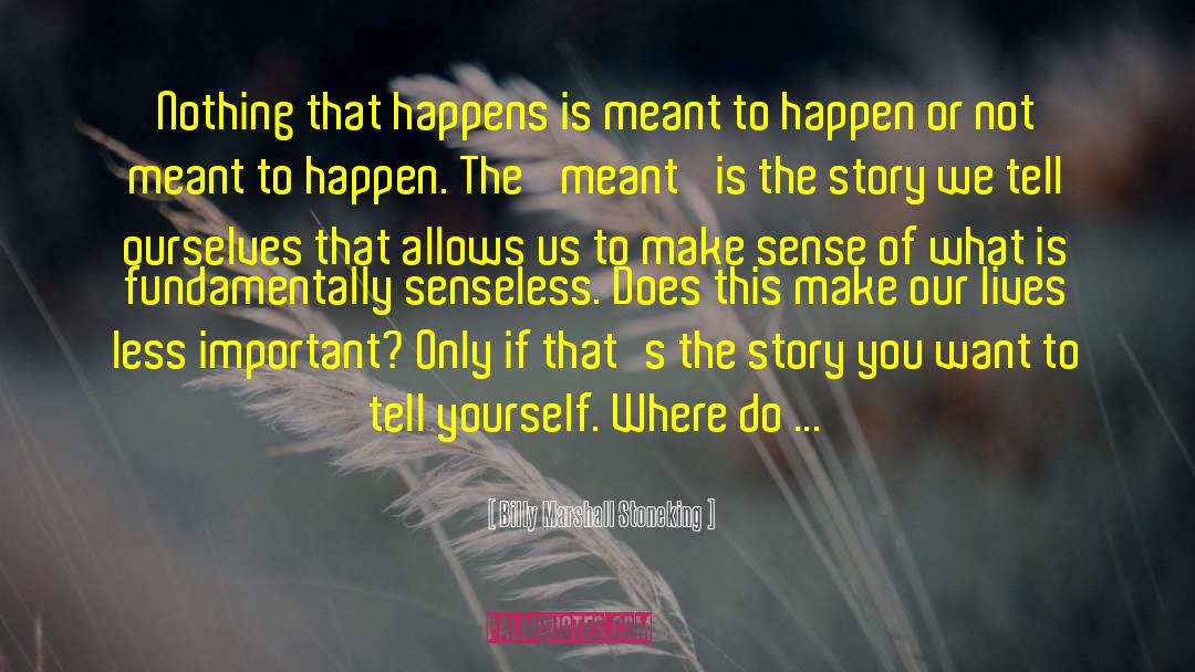 Meant To Happen quotes by Billy Marshall Stoneking