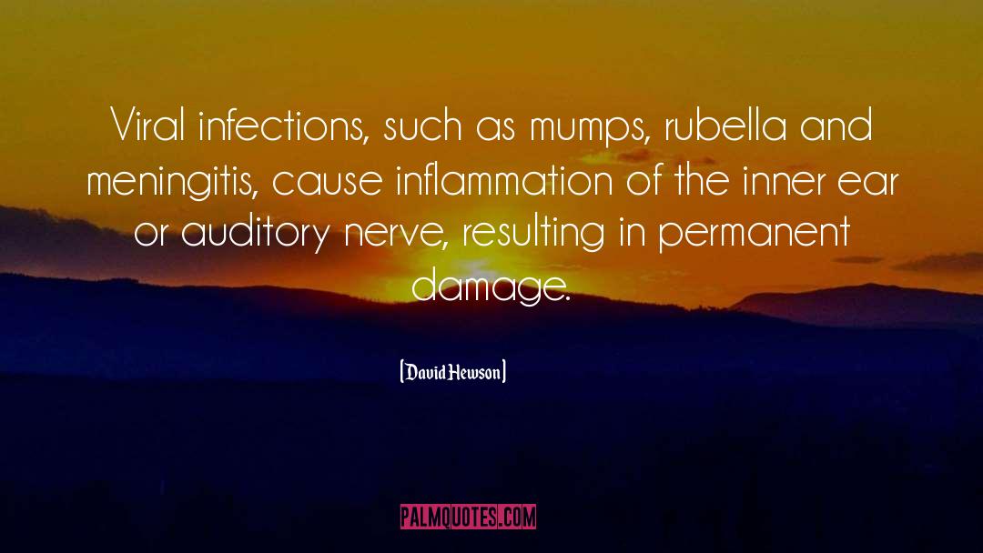 Measles Mumps Rubella quotes by David Hewson