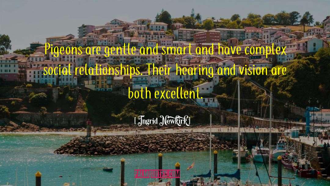 Measure Relationships quotes by Ingrid Newkirk