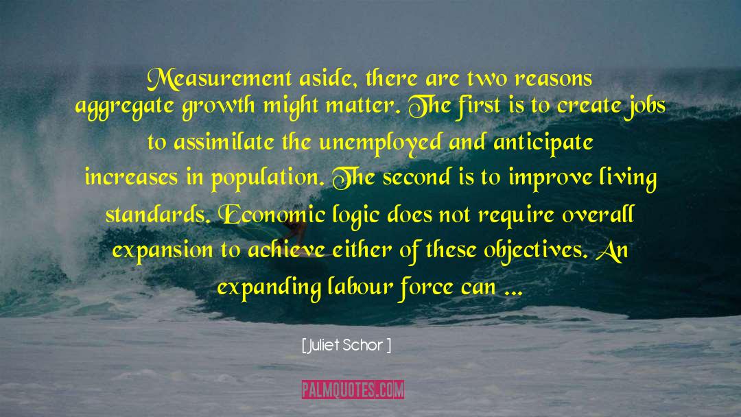 Measurement Units quotes by Juliet Schor