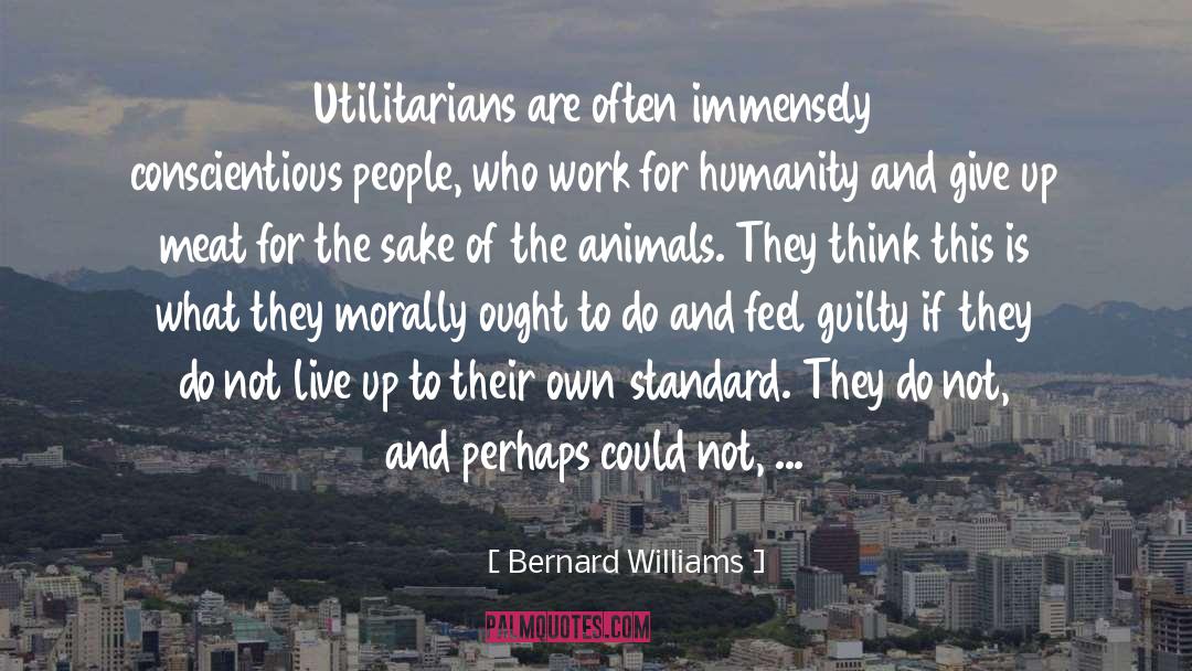 Meat And Potatoes quotes by Bernard Williams