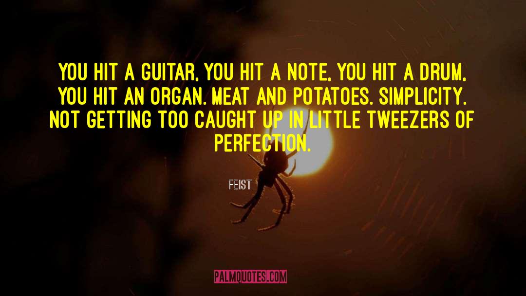 Meat And Potatoes quotes by Feist