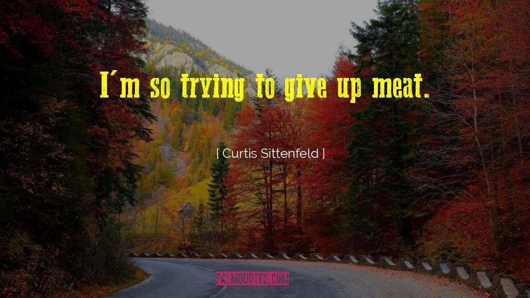 Meat Curtains quotes by Curtis Sittenfeld