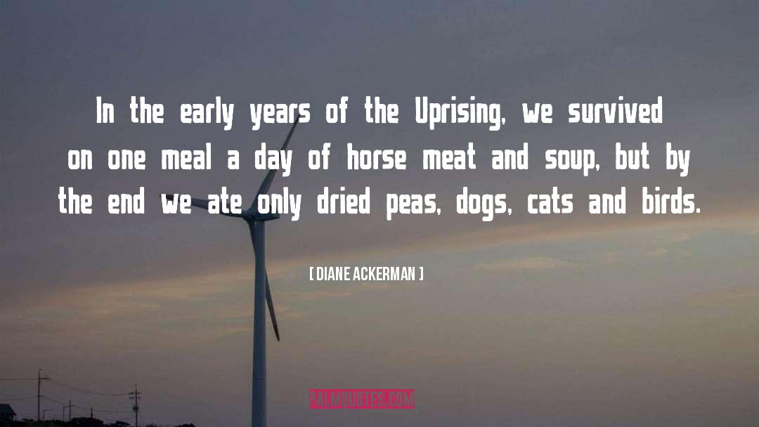 Meat Processing quotes by Diane Ackerman
