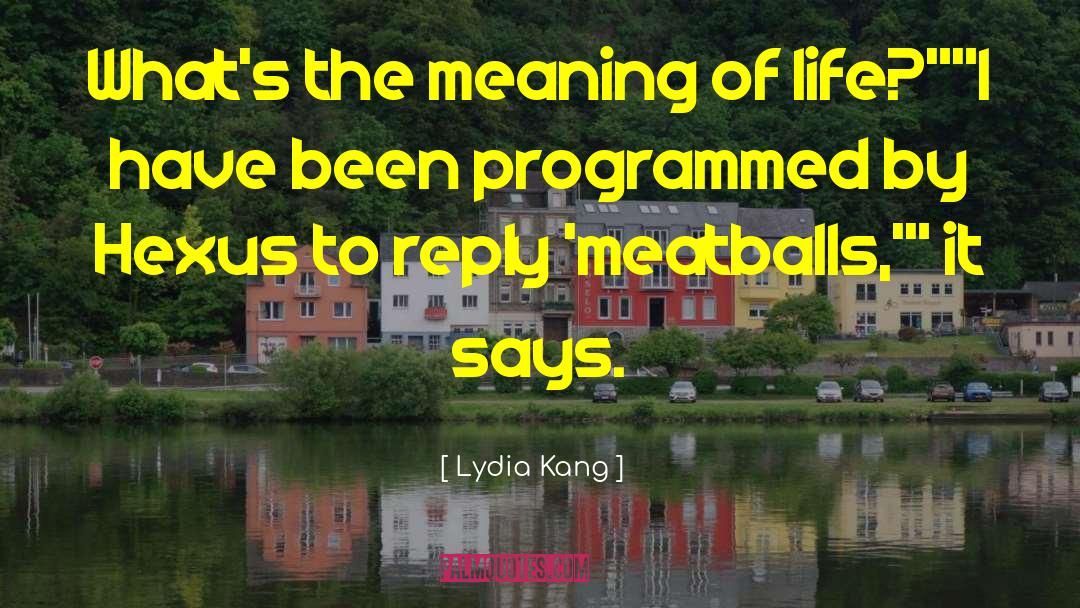 Meatballs quotes by Lydia Kang
